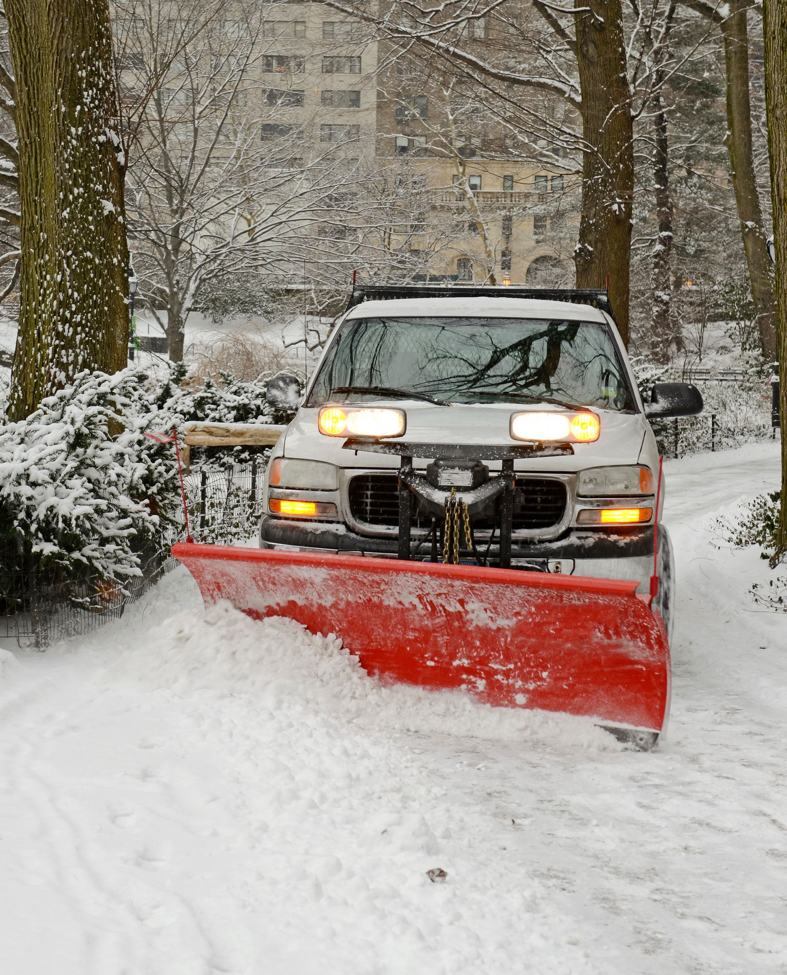A white pickup truck with a large red snowplow attached to the front clears snow on a tree-lined path.