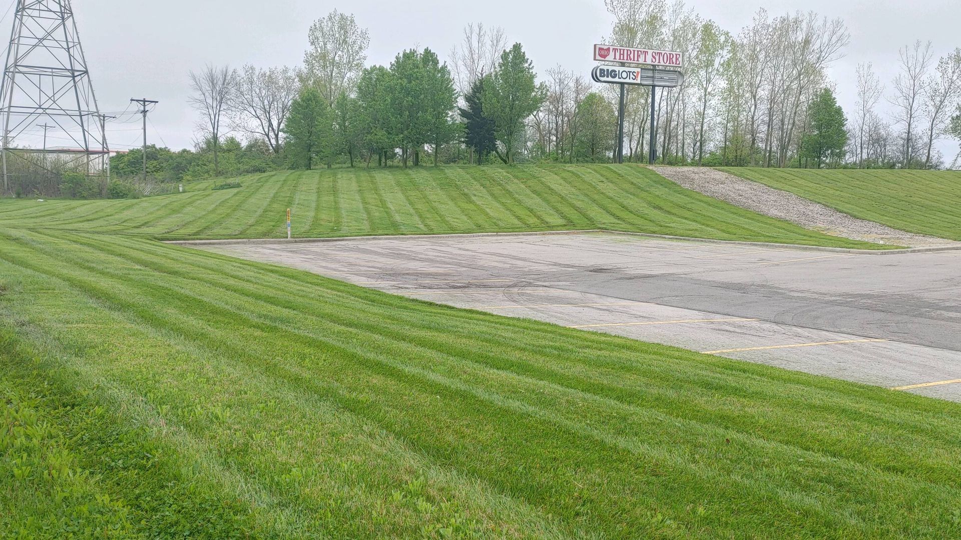 A lush green field with a sign in the background.