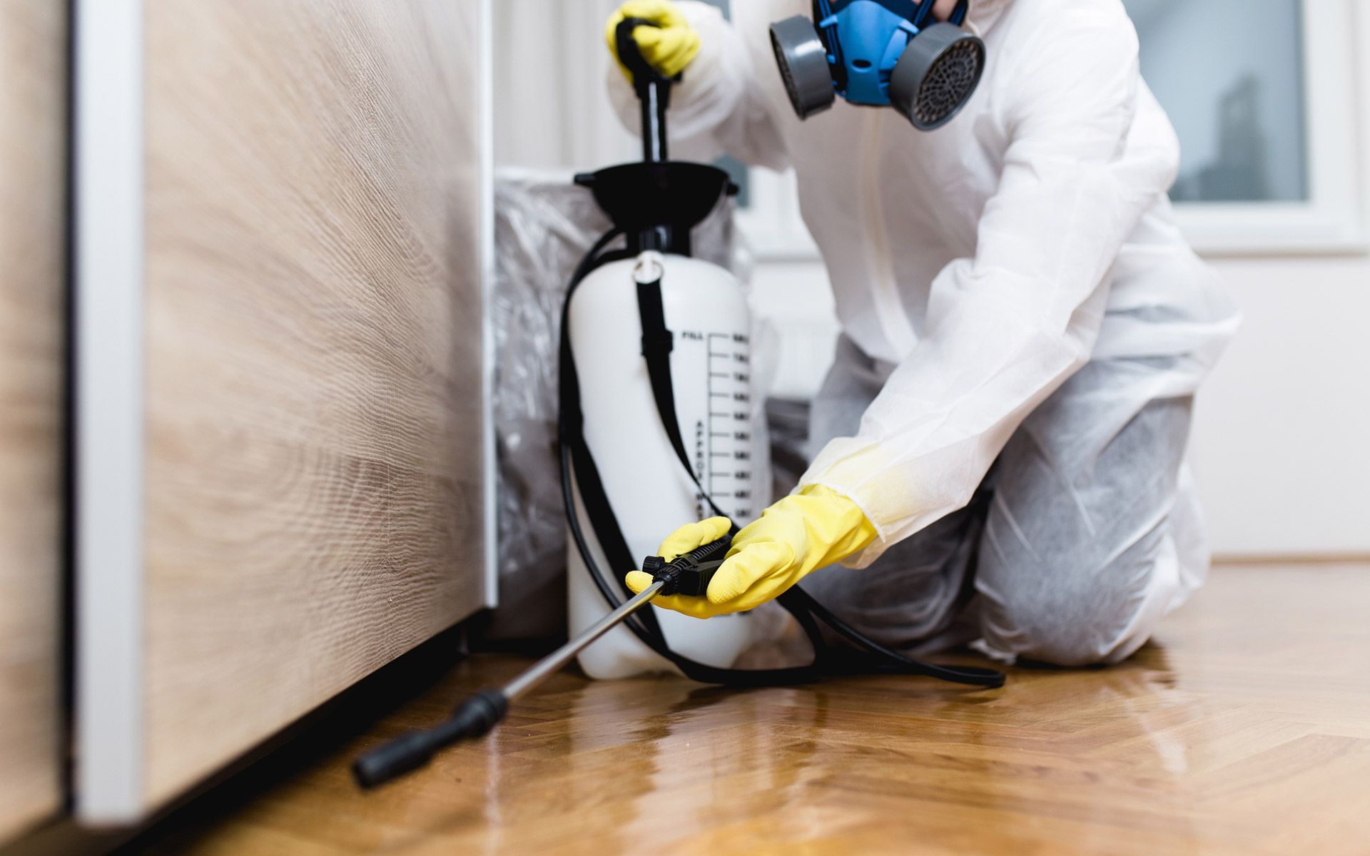 Bed Bugs — Fairfield, OH — Affordable Pest Control