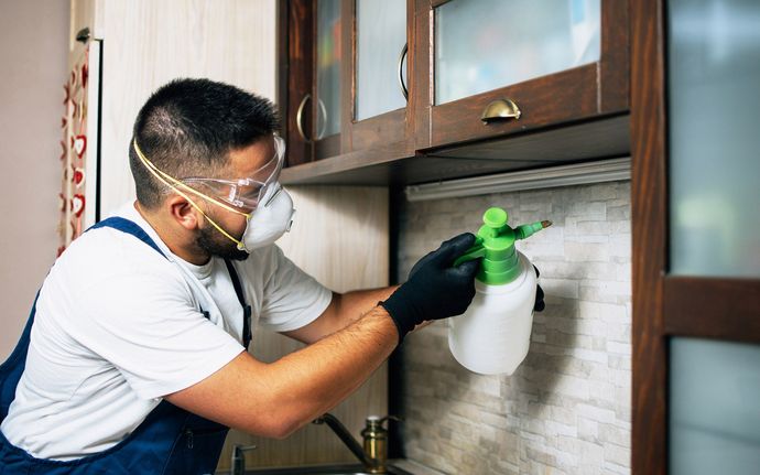 Man Spraying Insecticide — Fairfield, OH — Affordable Pest Control Man Spraying Insecticide — Fairfield, OH — Affordable Pest Control