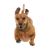 Dog vet services in Columbiana Ohio Rogers