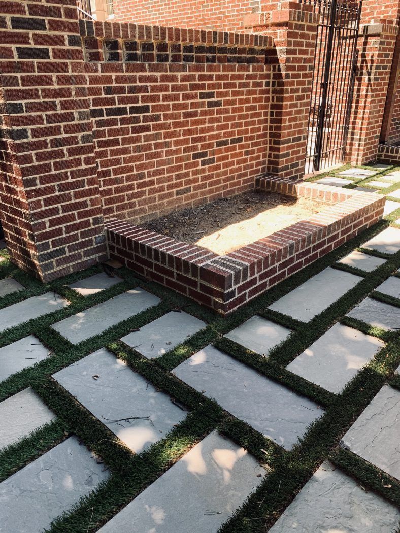 There is a brick wall in the background and a brick walkway in the foreground
