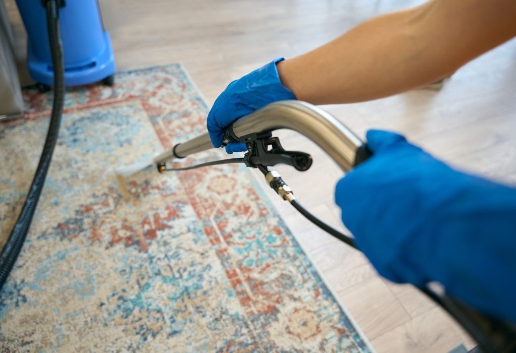 professional carpet cleaning in Idaho Falls