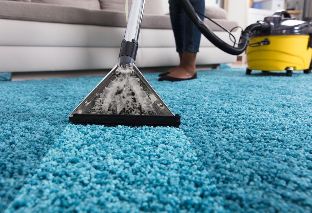 professional rug cleaning in Idaho Falls
