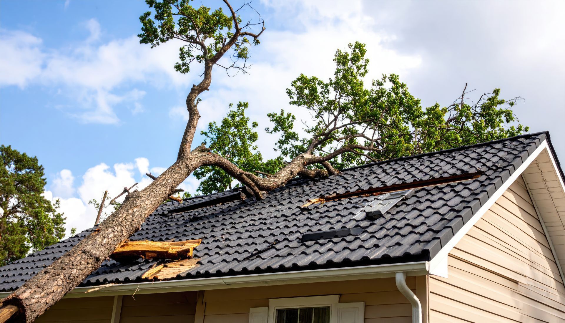 Fallen tree on house after storm requiring immediate emergency roofing repairs. Fallen tree on house after storm requiring immediate emergency roofing repairs.