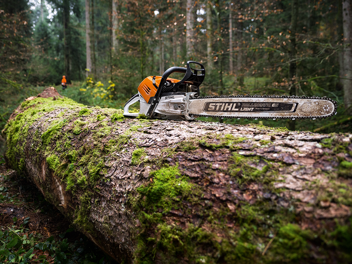 a chainsaw is sitting on top of a log in the woods .