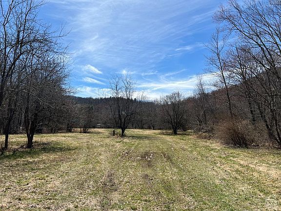 A large grassy field surrounded by trees on a sunny day.
