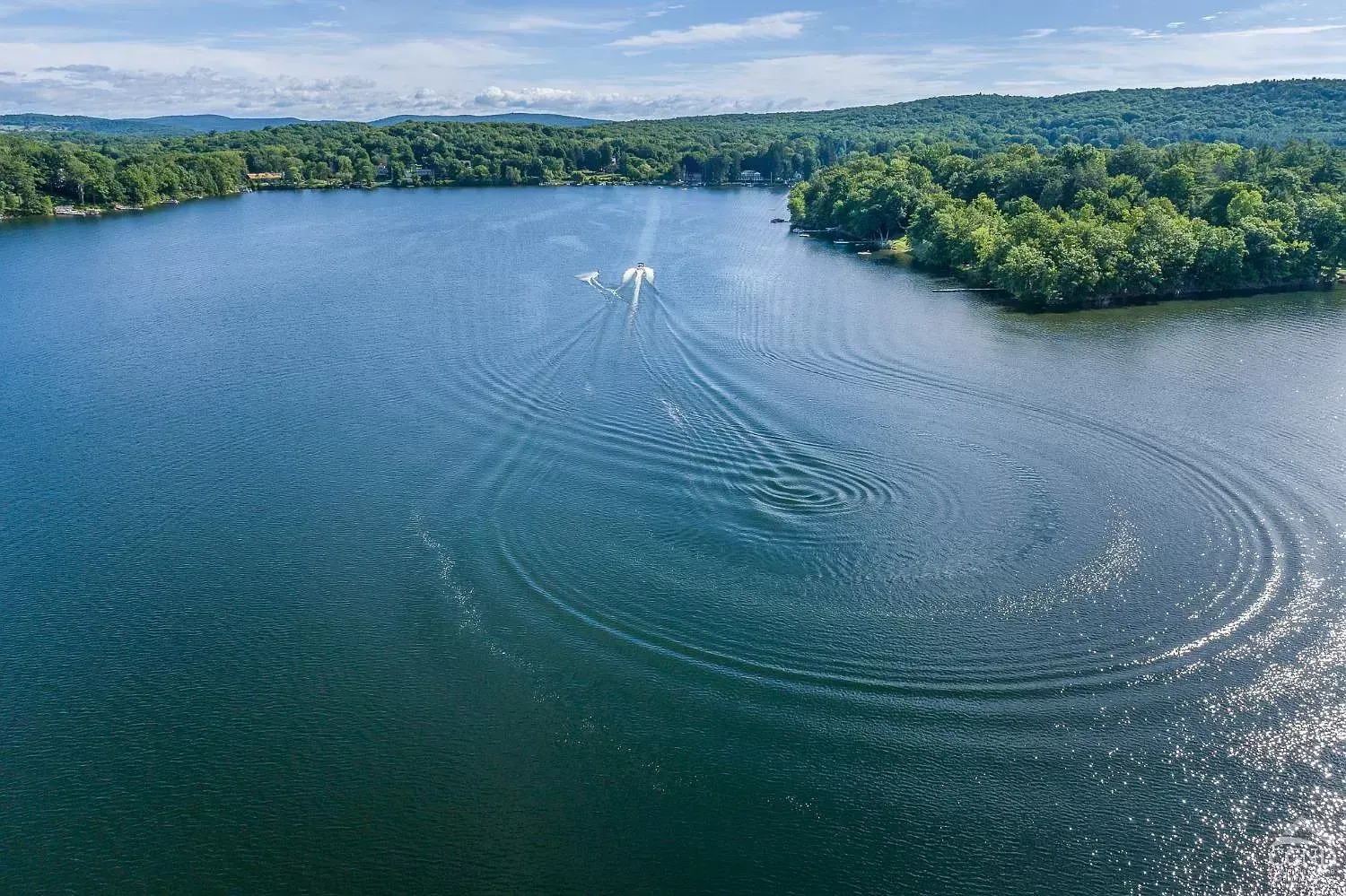 An aerial view of a lake with trees on the shore and a boat in the water.