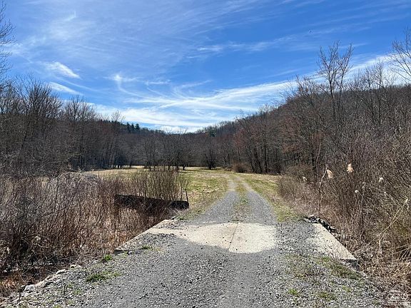 A dirt road going through a field with trees on both sides.