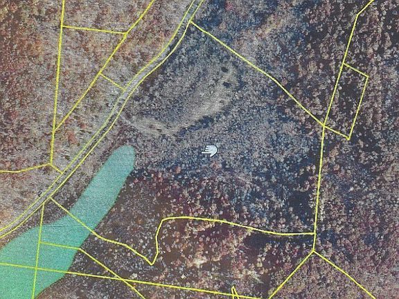 An aerial view of a forest with a small white object in the middle.