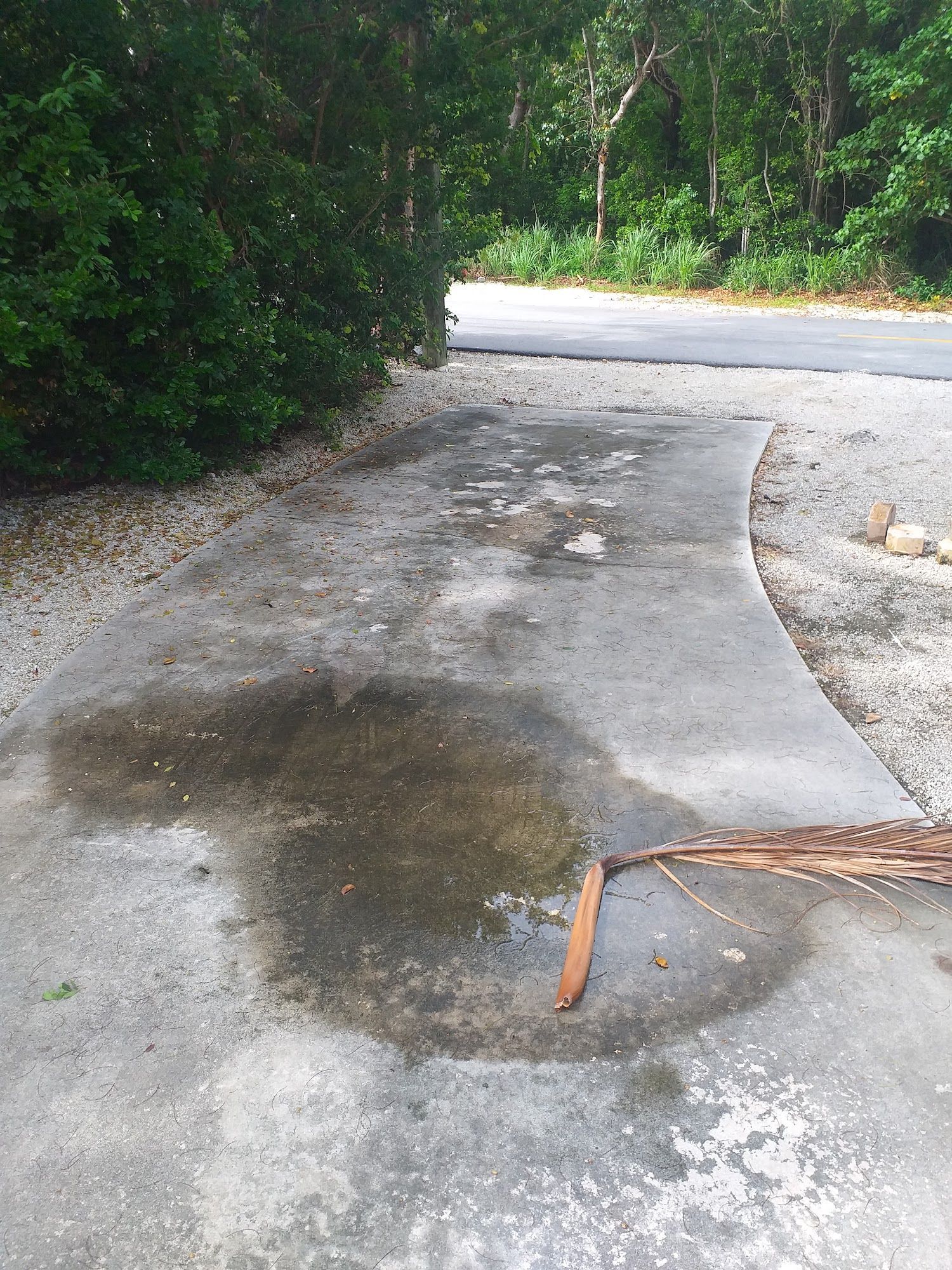 Concrete driveway with a large puddle, next to a wooded area.