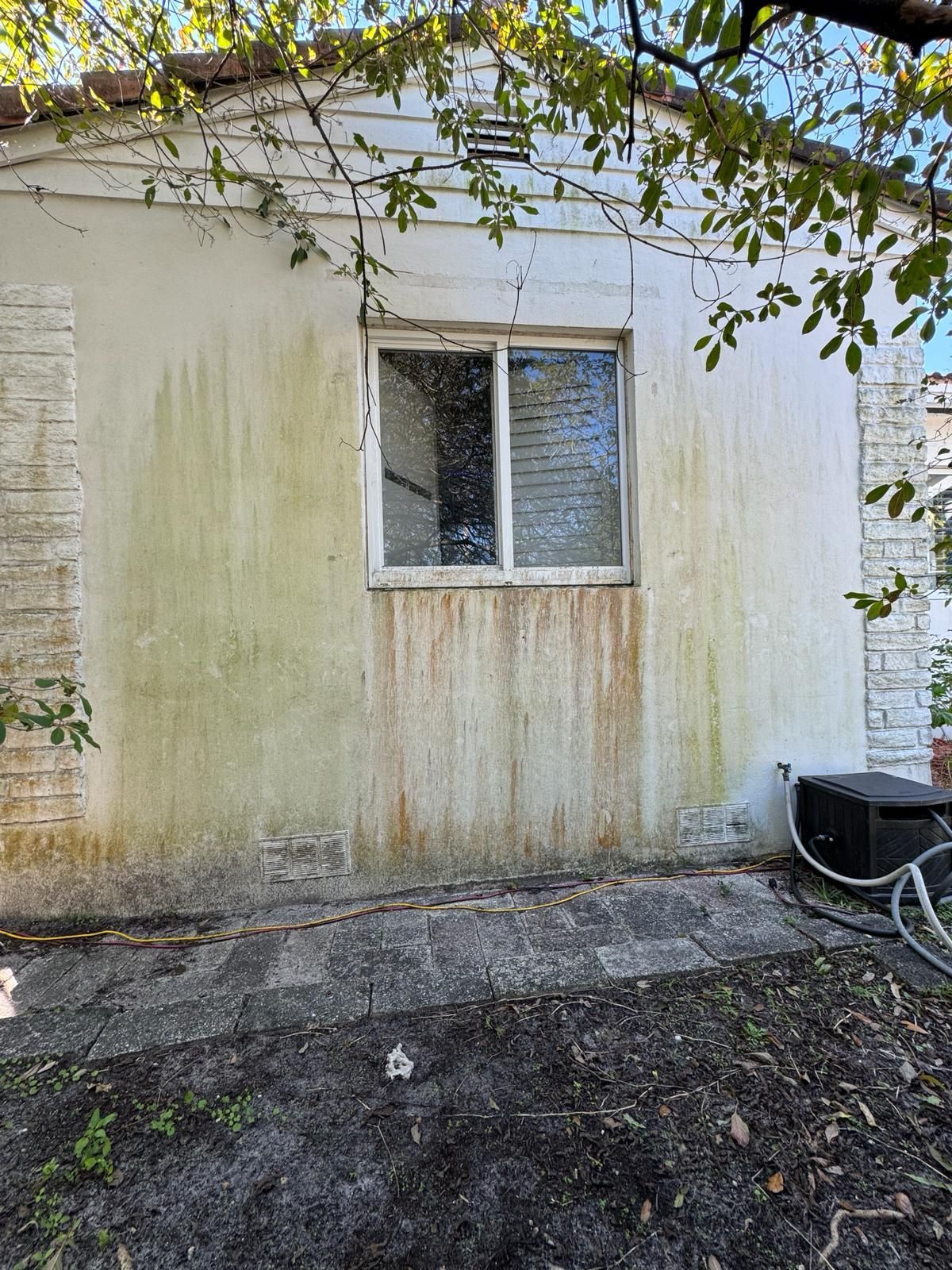 Exterior wall with green and brown mildew stains, window, and surrounding foliage.
