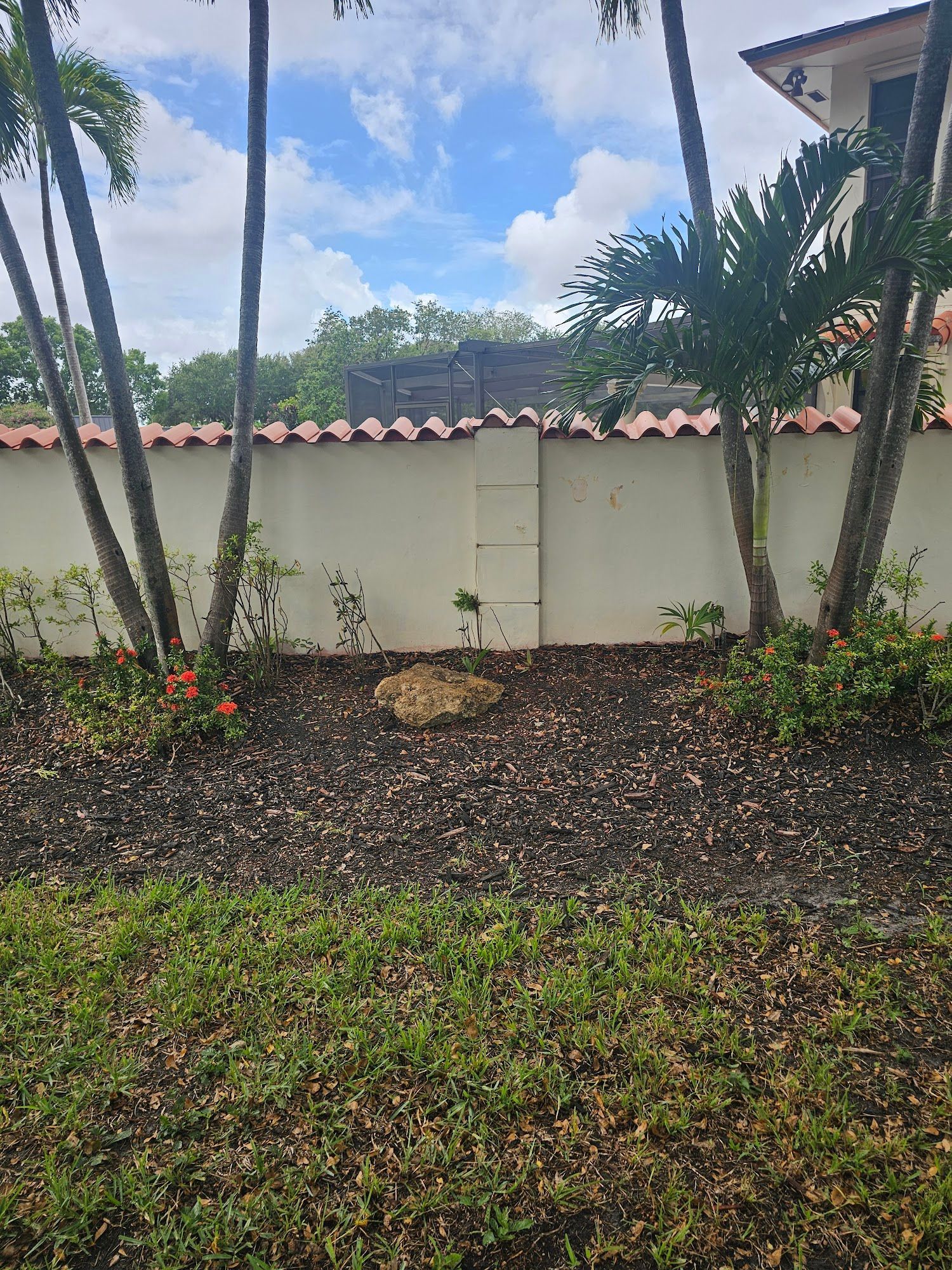 A wall with red tile roof, white stucco, and palm trees. A small patch of dirt and grass are in the foreground.