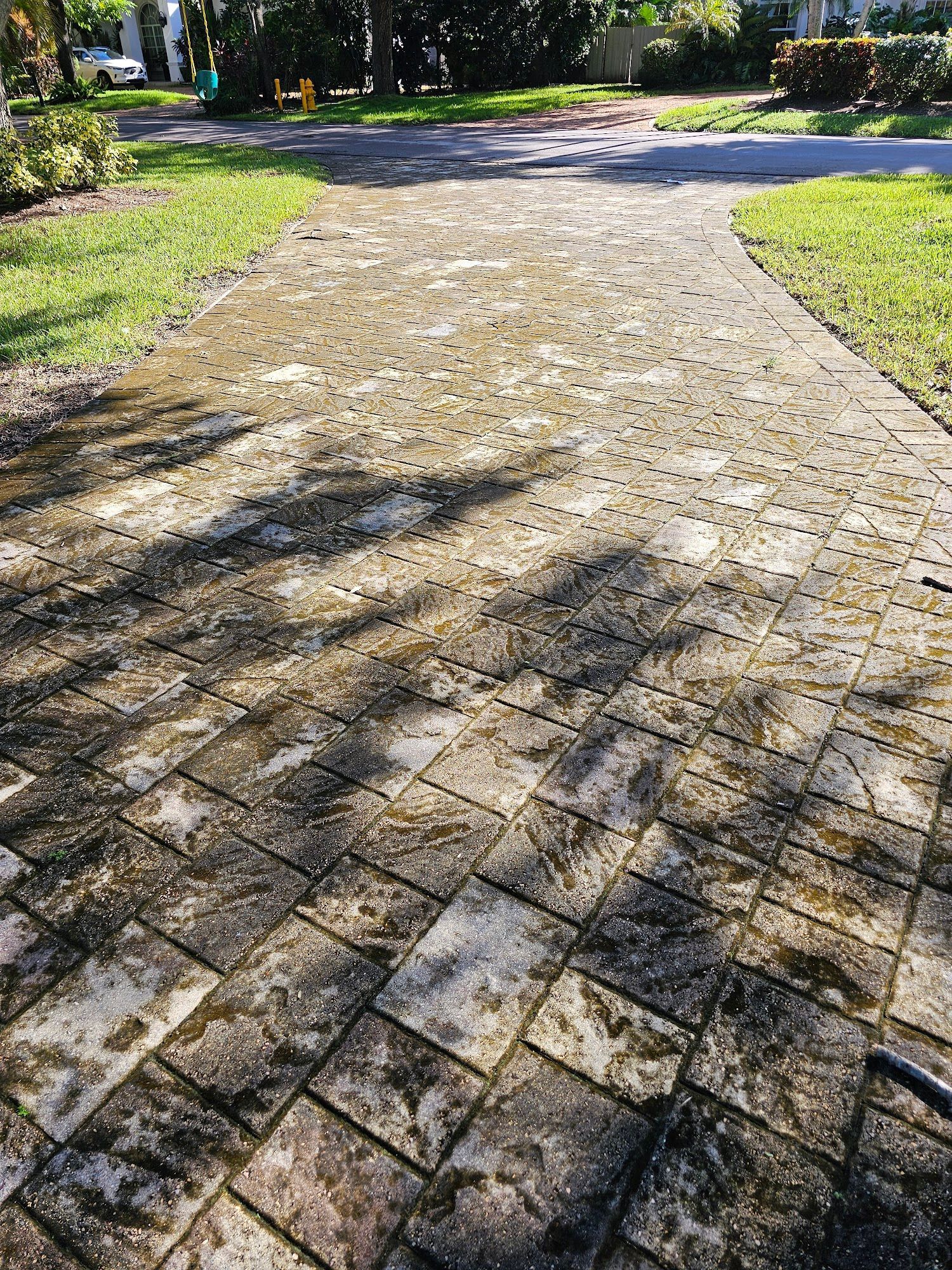 Brick walkway covered in moss; sunlight casts shadows on the ground.