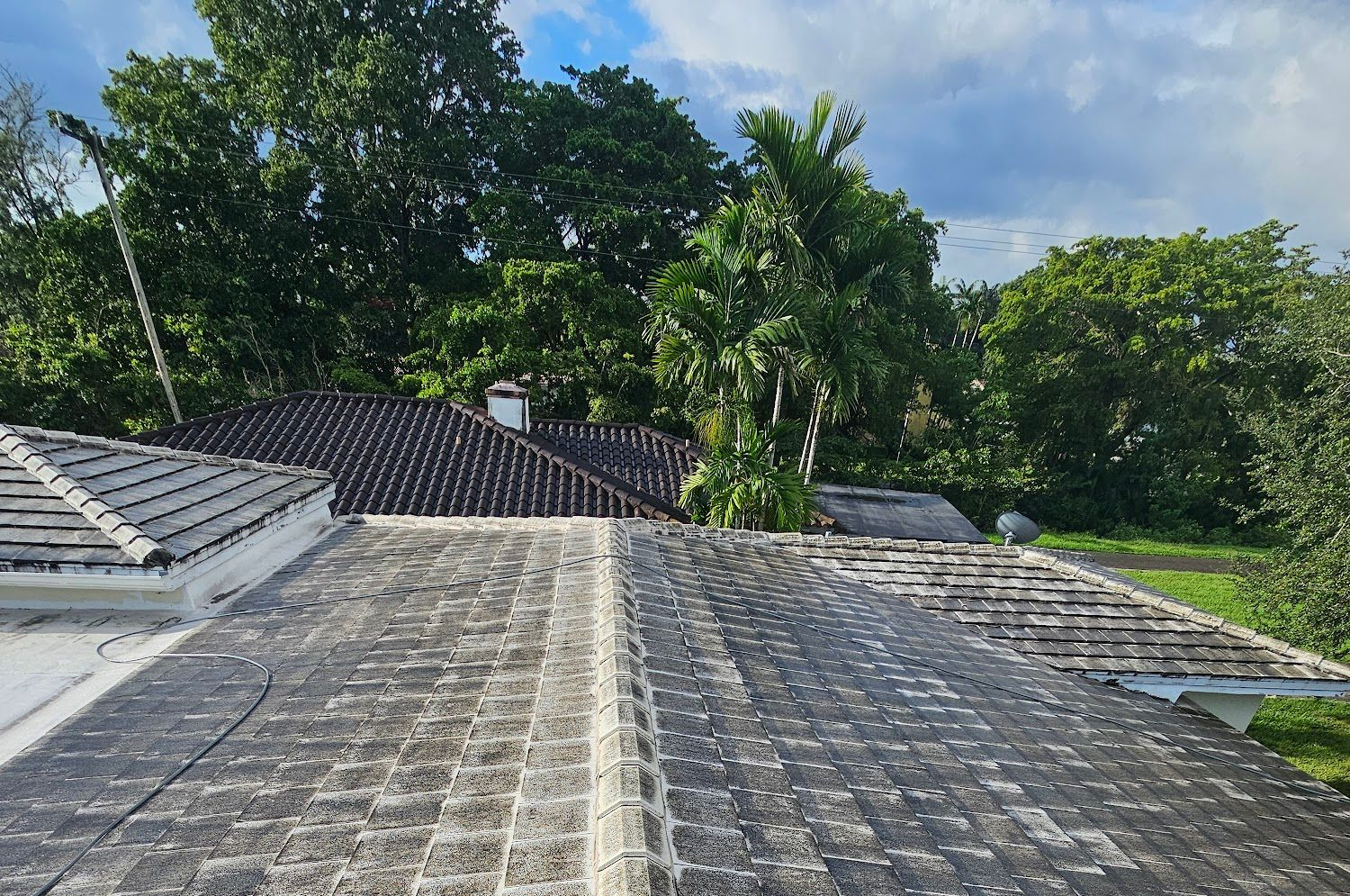 Gray and white tiled rooftops with moss, set against a backdrop of lush green trees and a cloudy sky.