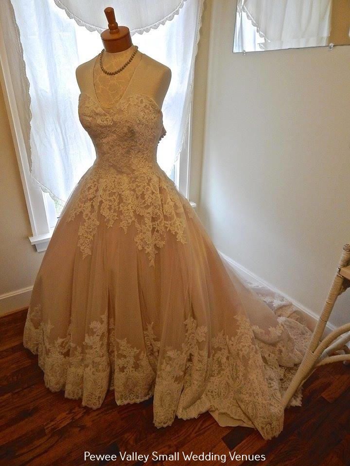 Champagne lace wedding gown on a mannequin in a softly lit room by sheer curtains