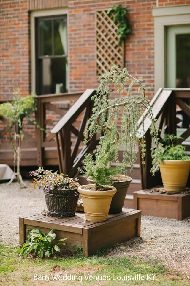 Potted plants on a wooden porch against a brick house, with a trellis and railing in the background