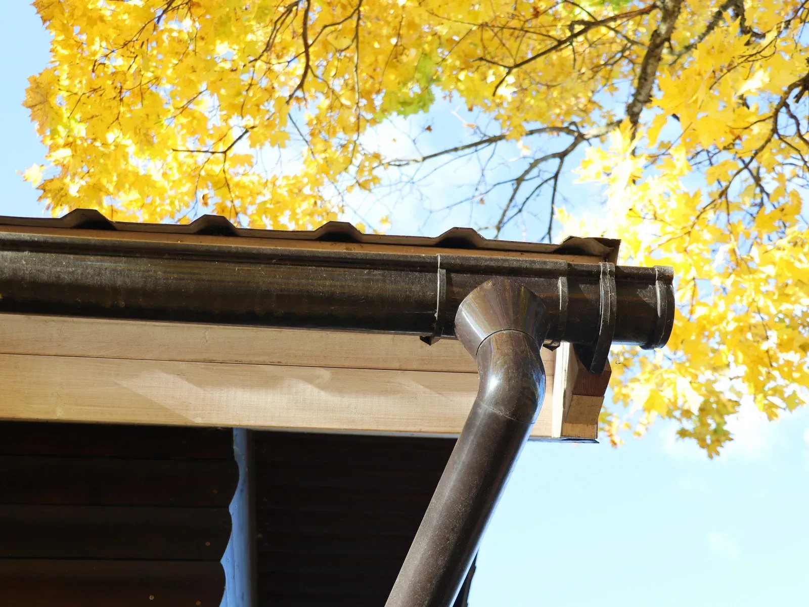 Brown rain gutter on a house, with yellow fall leaves in the background against a blue sky.