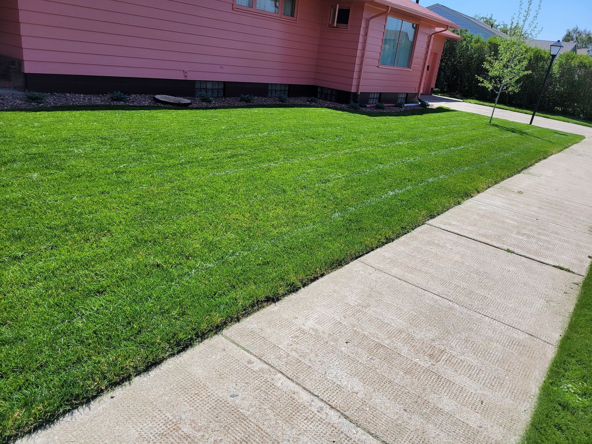 Lawn Care