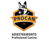 Logo de PROCAN CHILE