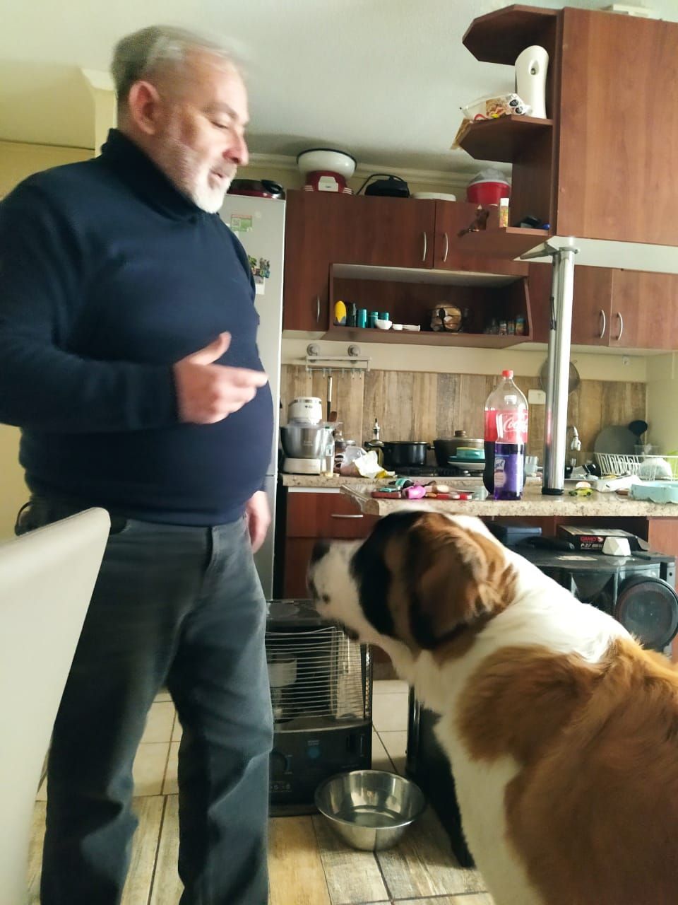Adiestramiento Canino Profesional