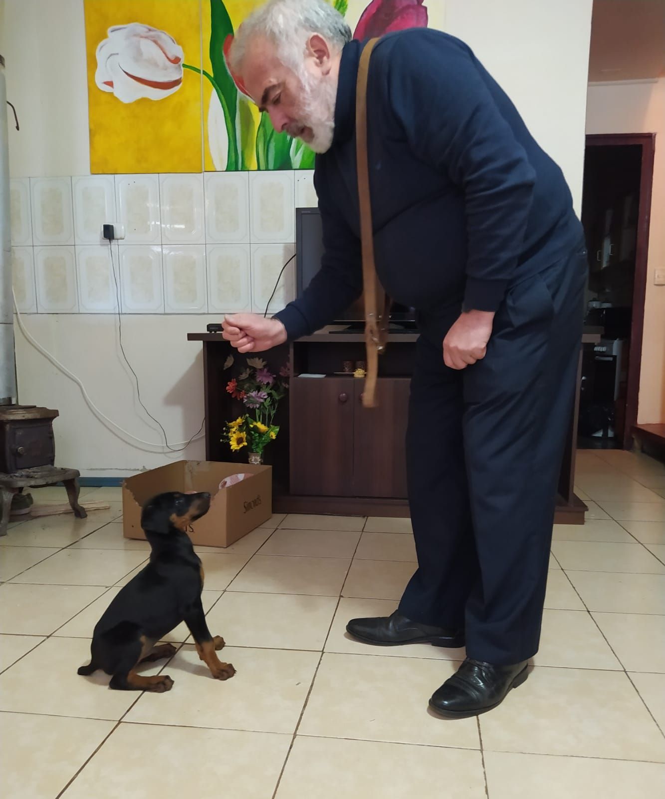 Adiestramiento Canino Profesional
