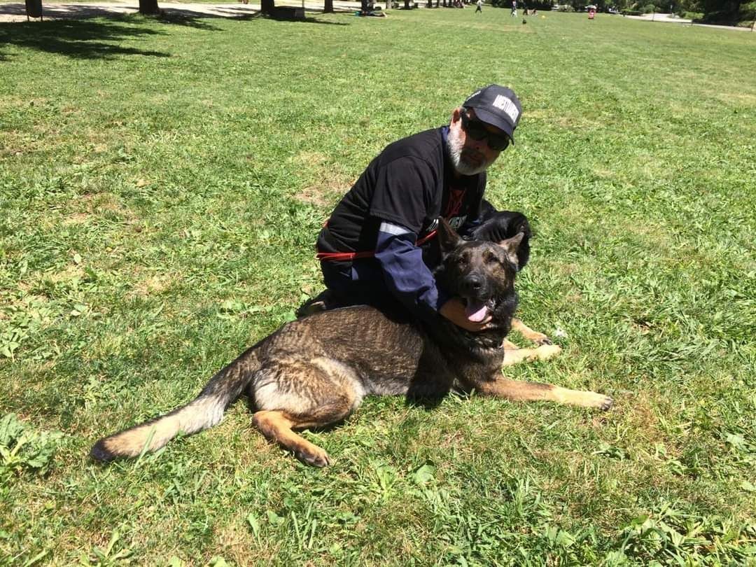 Adiestramiento Canino Profesional