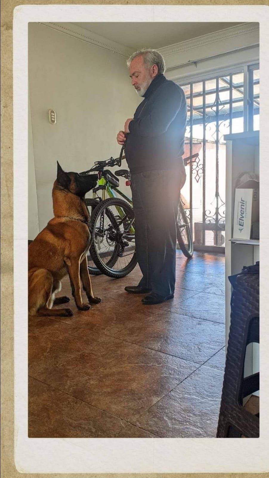 Adiestramiento Canino Profesional
