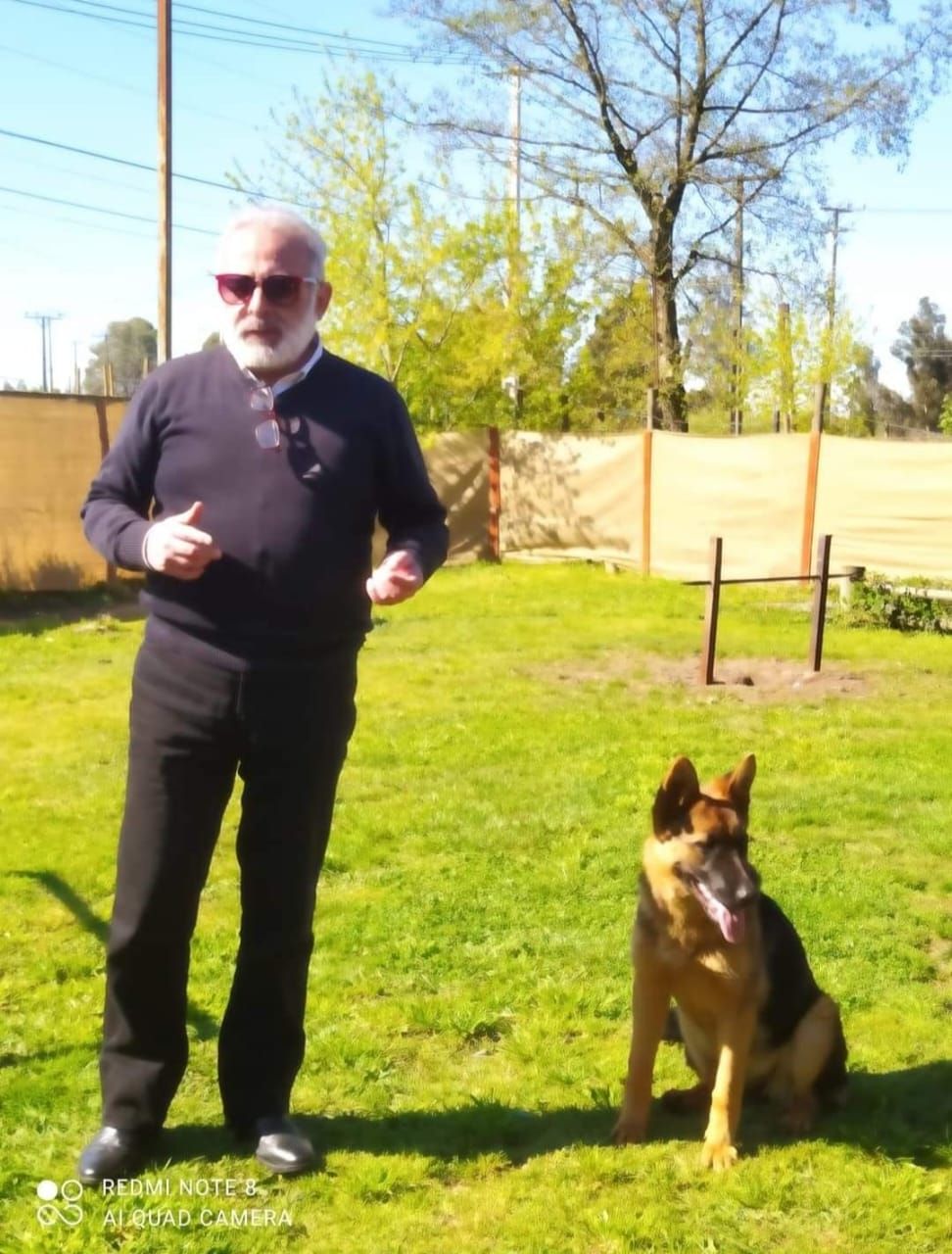 Adiestramiento Canino Profesional