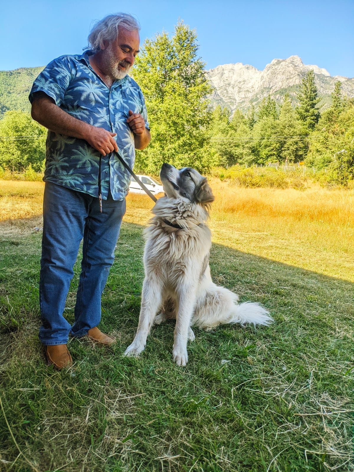 Adiestramiento Canino Profesional