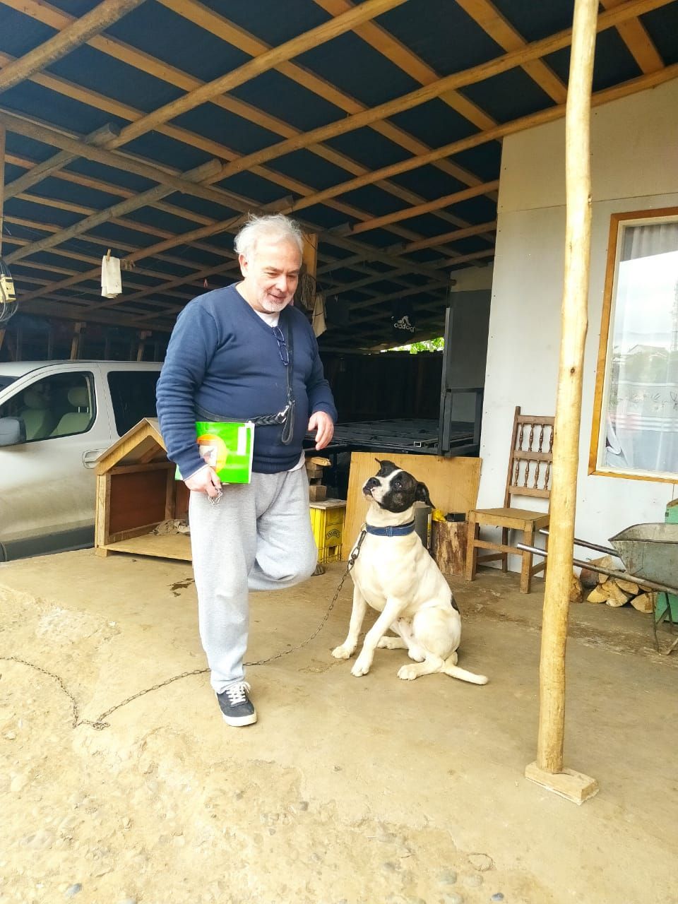 Adiestramiento Canino Profesional