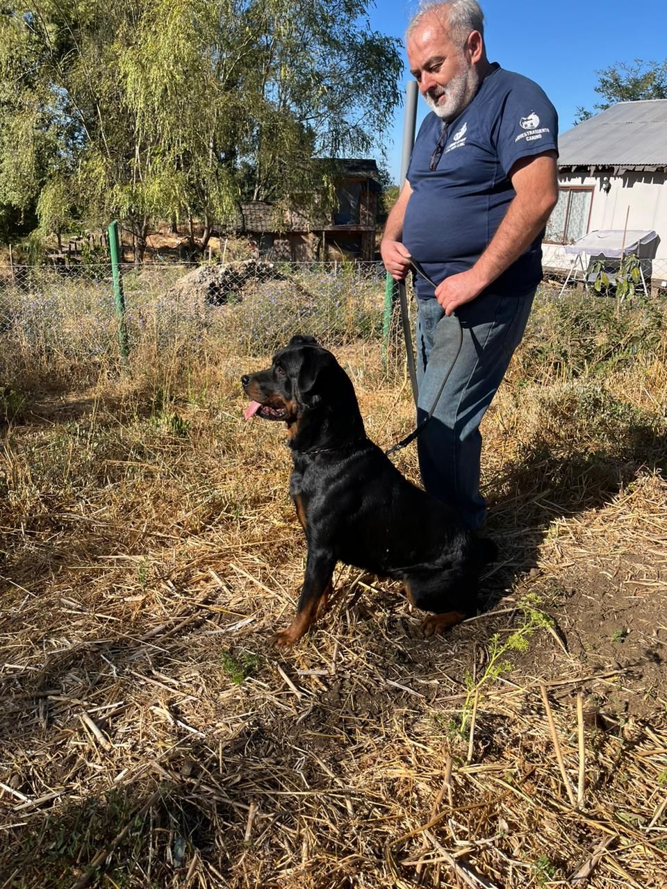 Adiestramiento Canino Profesional
