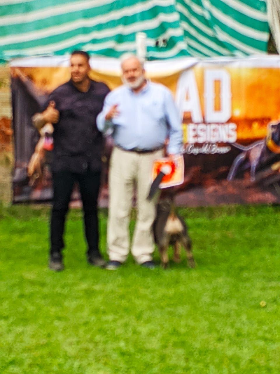 Adiestramiento Canino Profesional