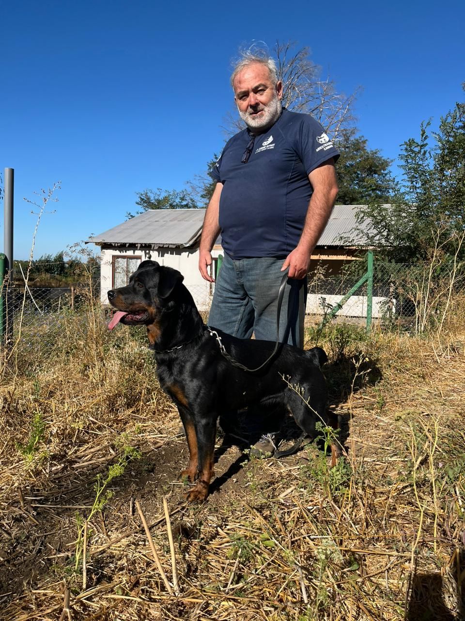 Adiestramiento Canino Profesional