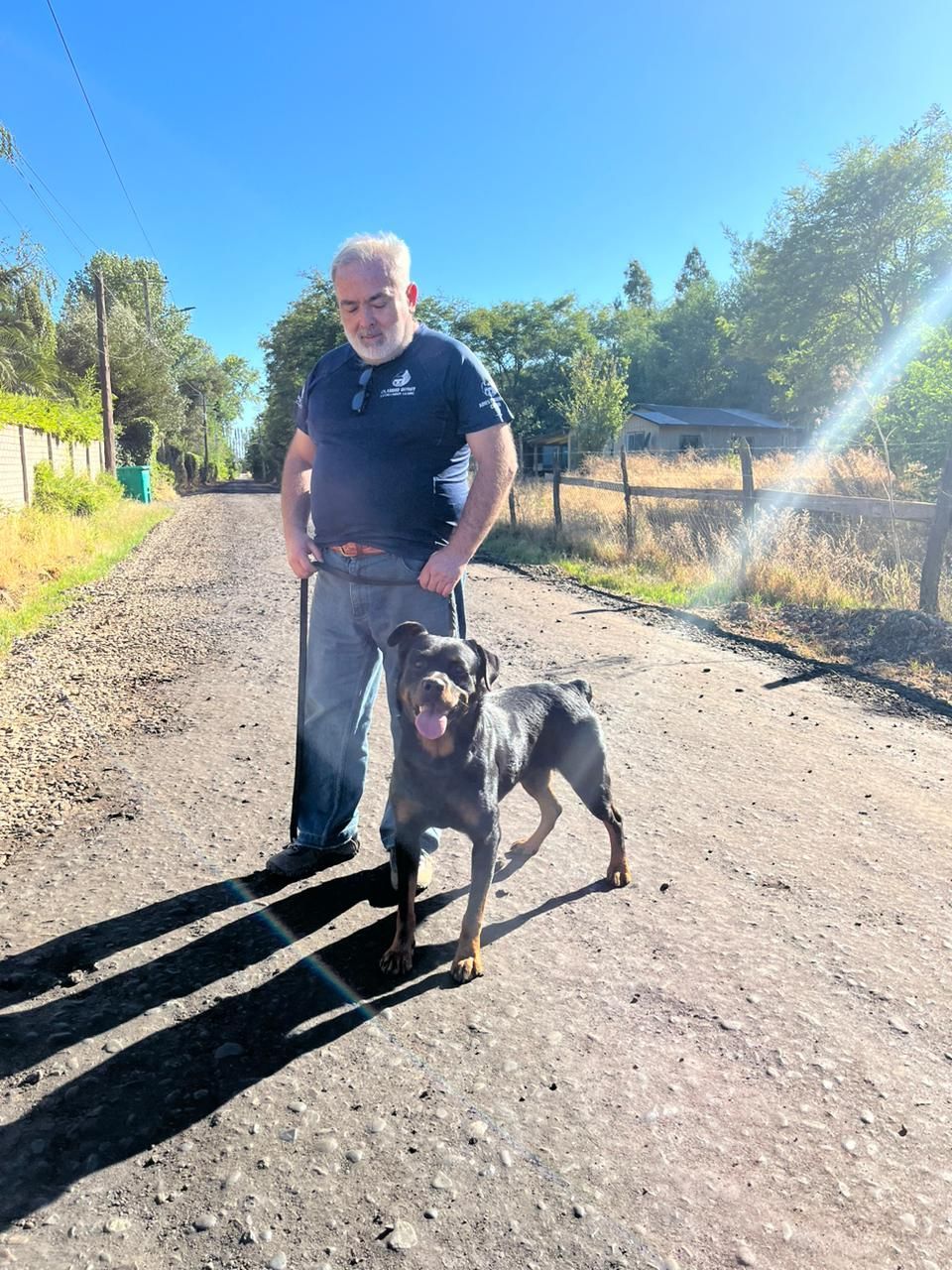 Adiestramiento Canino Profesional