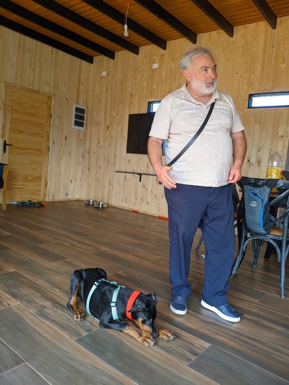 Adiestramiento Canino Profesional