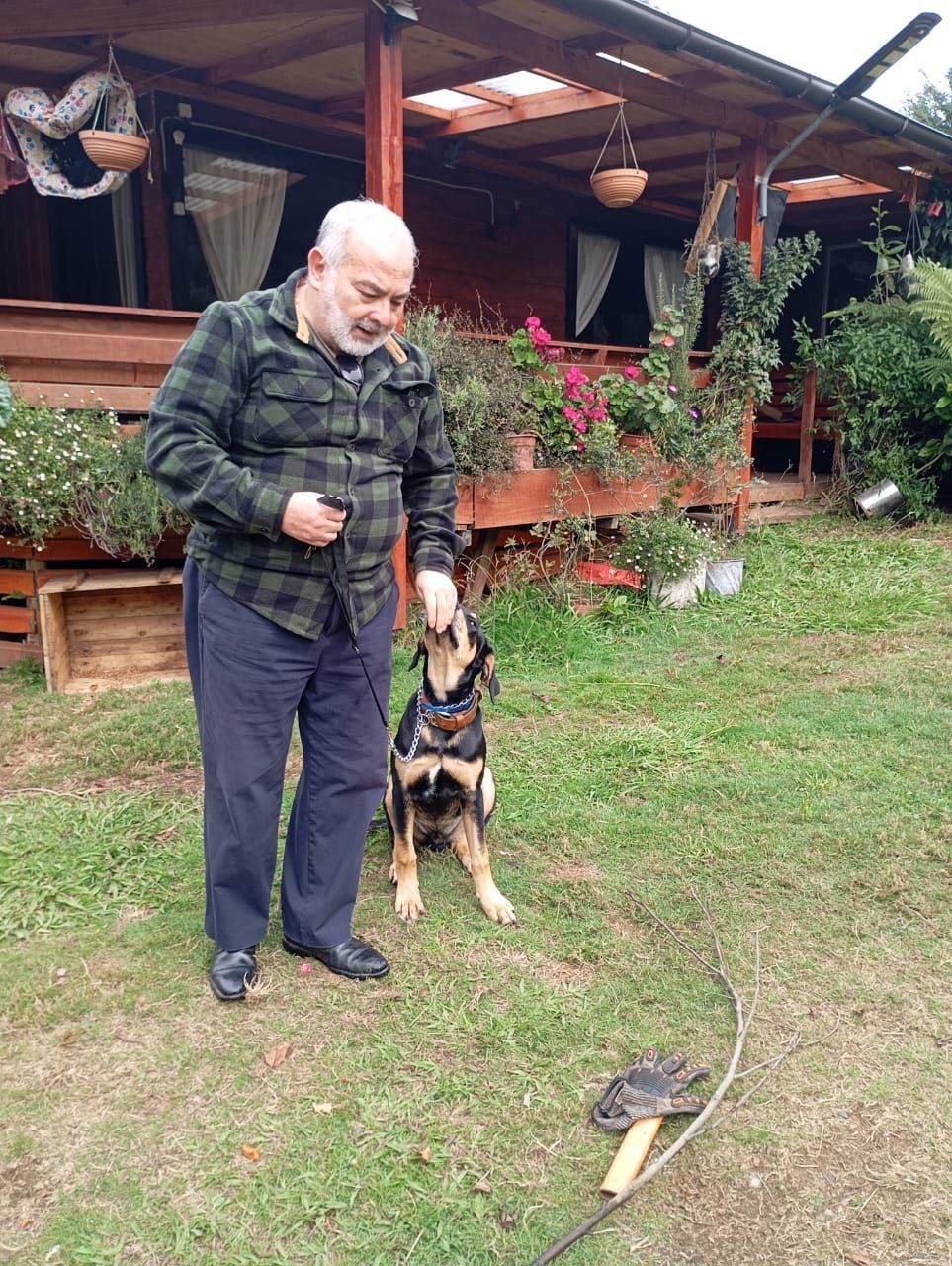Adiestramiento Canino Profesional