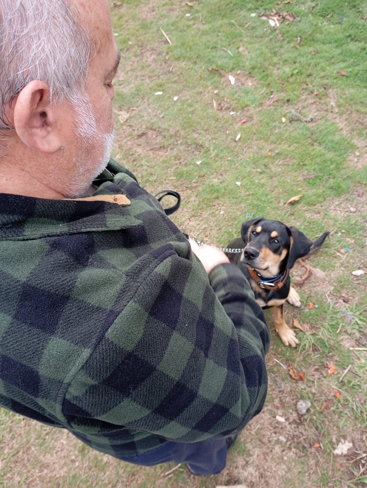 Adiestramiento Canino Profesional