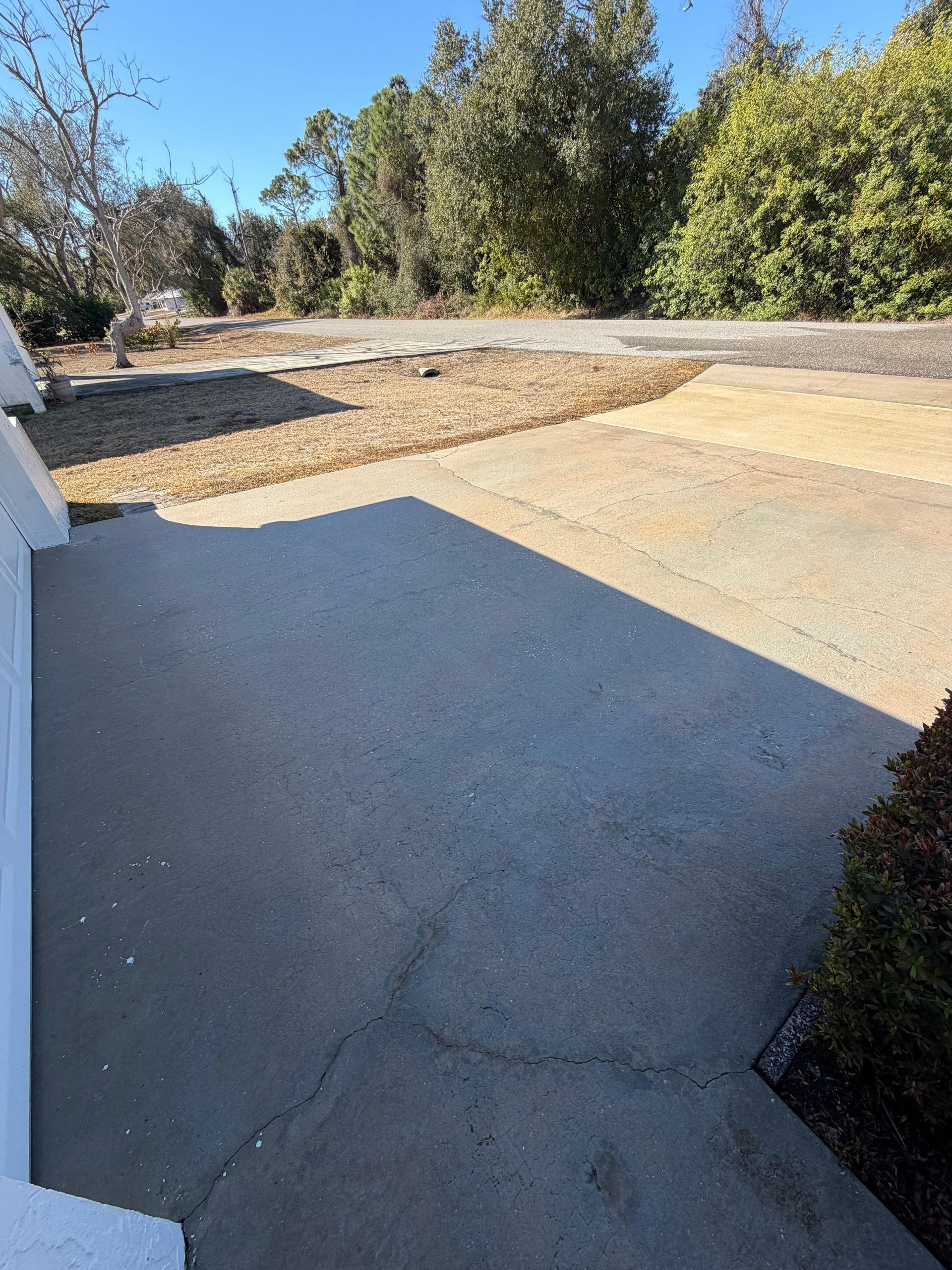 Concrete driveway and walkway leading to a sunny yard with trees and shrubs