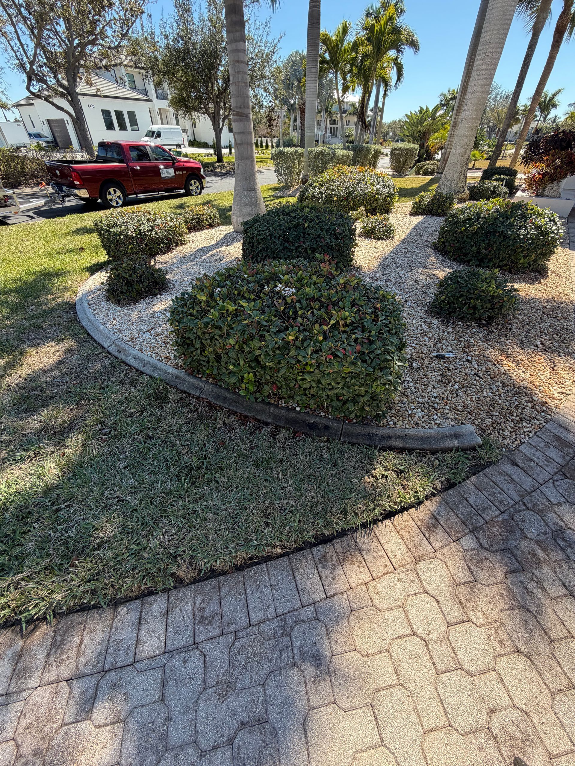 Landscaped garden bed with trimmed shrubs, palm trees, and a red truck in the background.