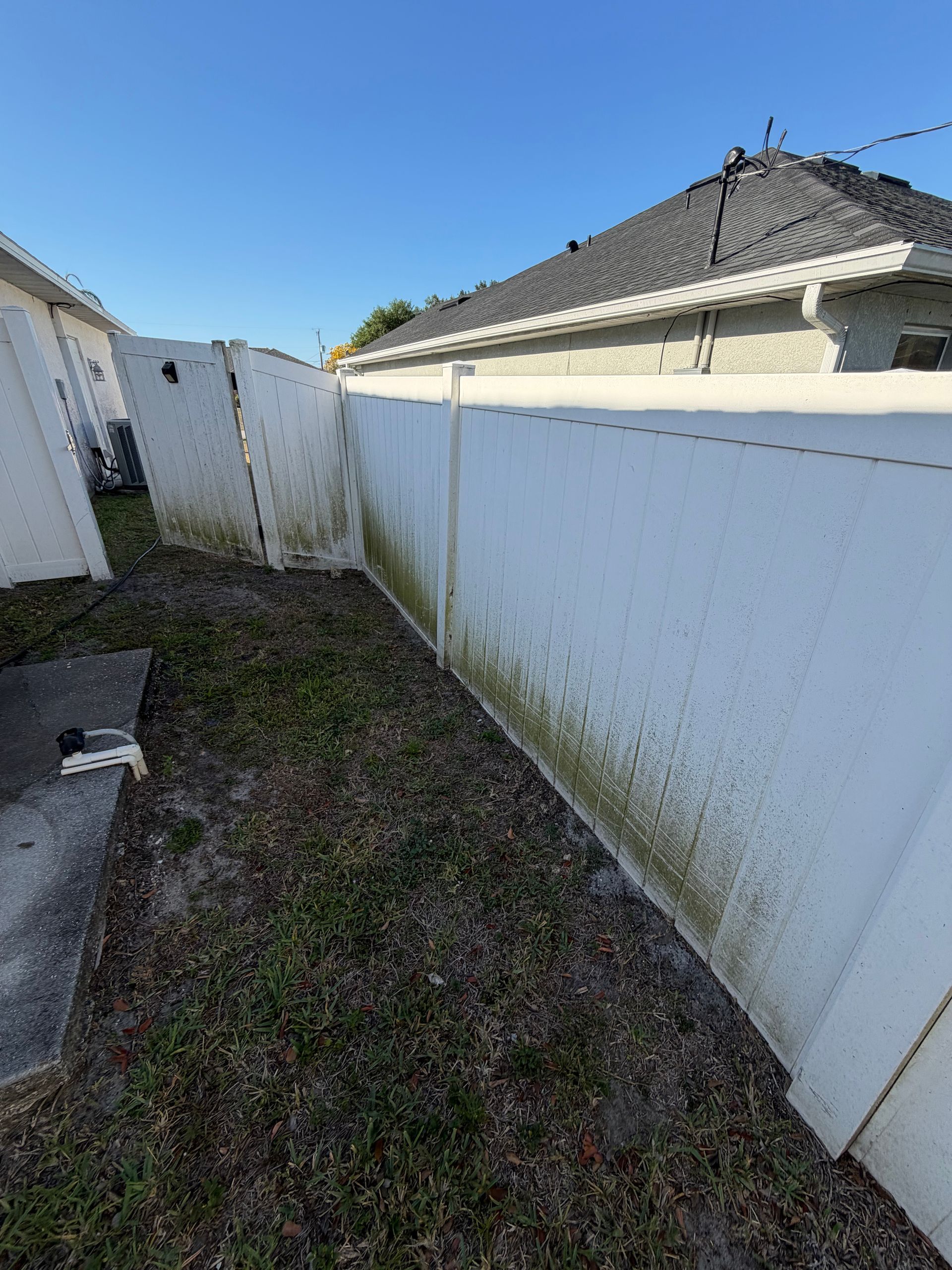 White Fence before
