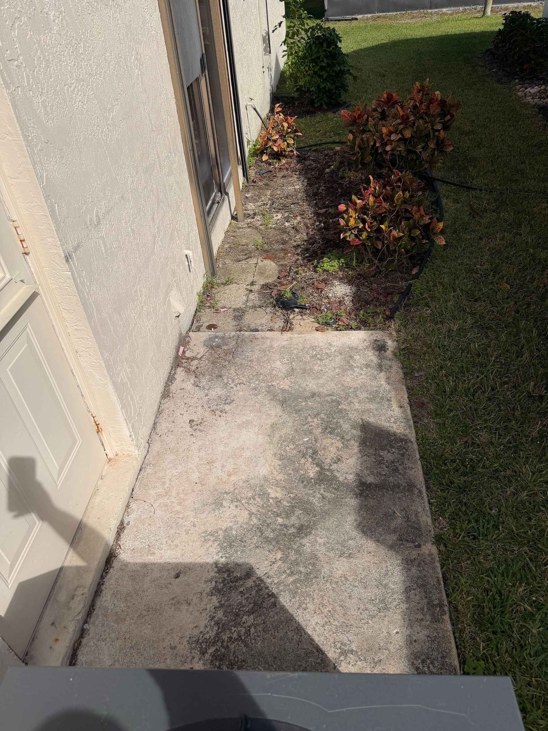 Concrete walkway beside a house, with a small garden bed and shrubs in sunlight.