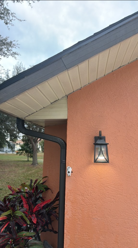 Orange stucco house corner with black gutter, trim, and light. Red and green plant in front.