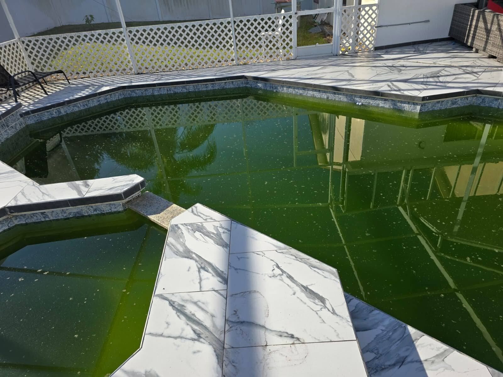 Green algae-filled swimming pool with marble-tiled edges and steps. Overgrown and neglected.