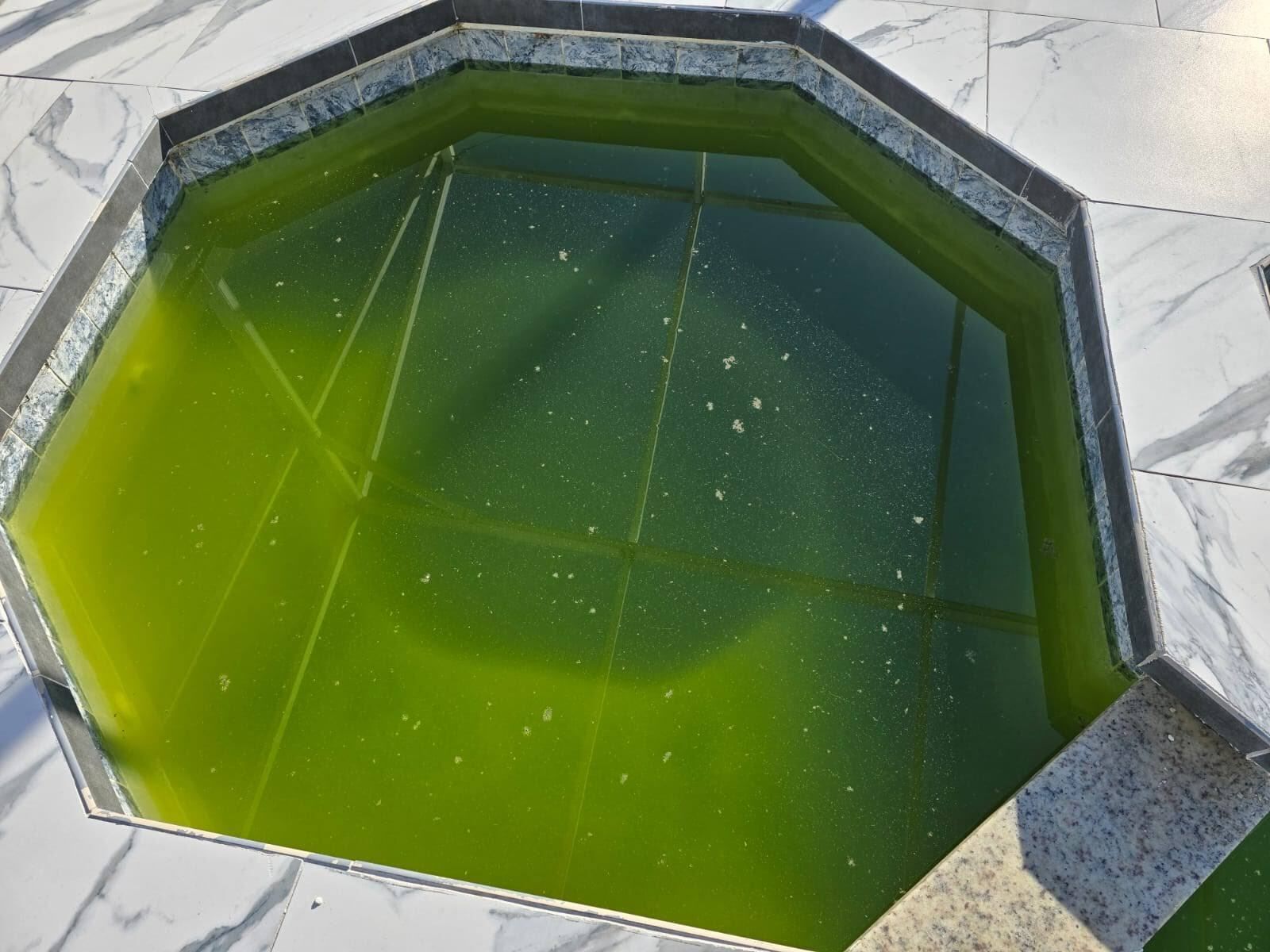 Green-tinted water in a hexagonal pool surrounded by light-colored tile.
