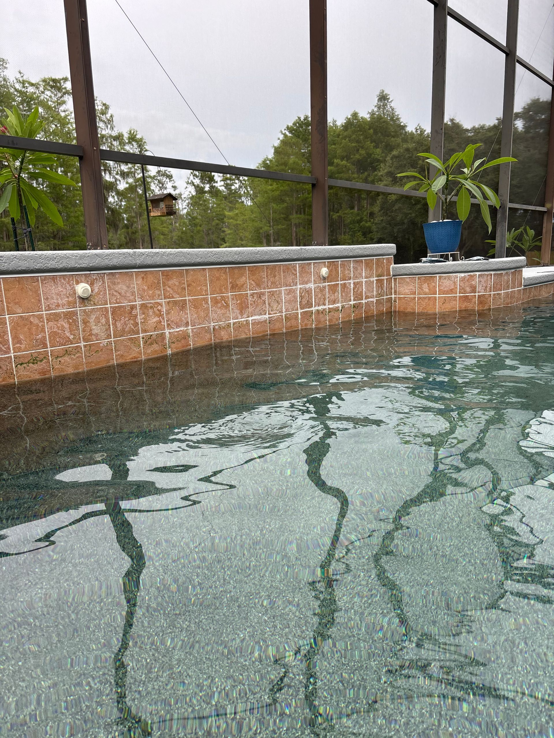 Pool with brick wall and glass screen, raining, trees in background.