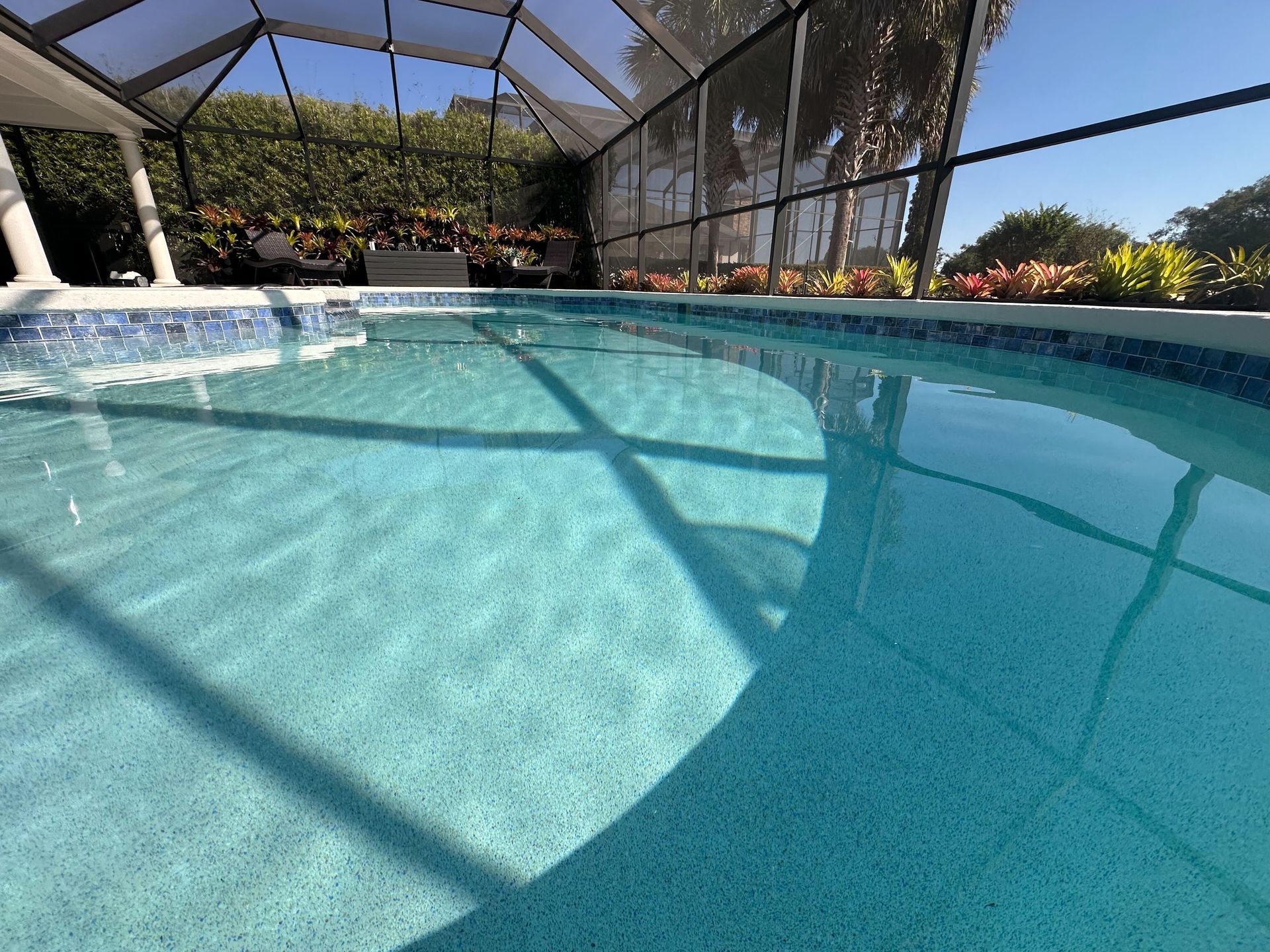Swimming pool under a screened enclosure, with blue-tiled edges and clear water, surrounded by greenery.