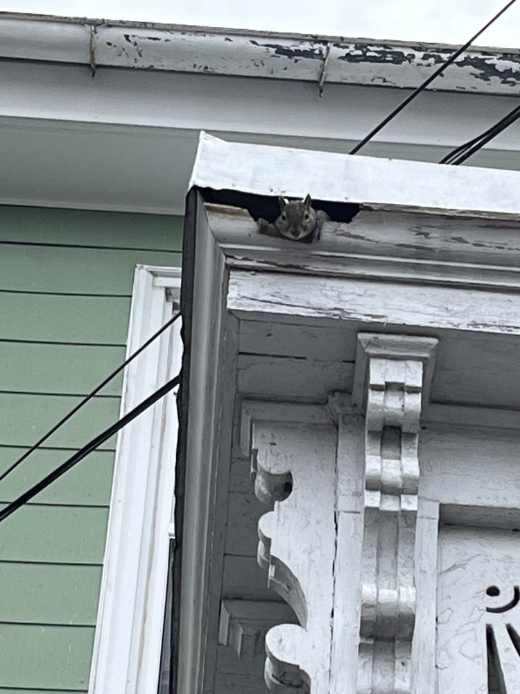 Damaged roof corner and white trim on a house with peeling paint and exposed wood
