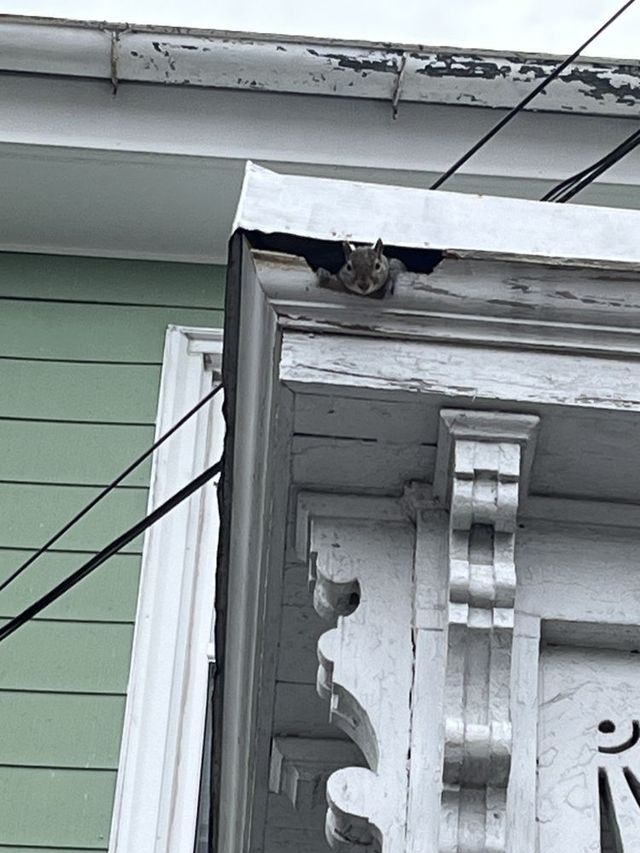 Damaged roof corner and white trim on a house with peeling paint and exposed wood