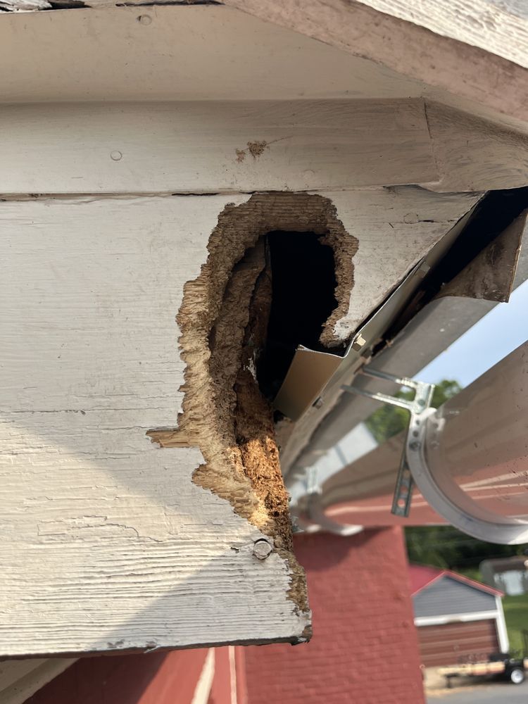 Damaged white house siding with a large hole near a reflective window trim
